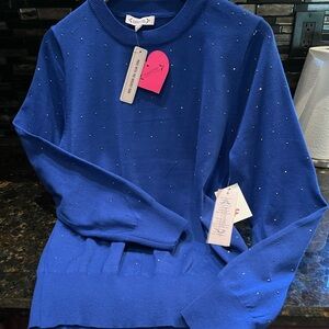 Sparkly sweater.  Brand new with tags.  Blue.  Perfect for holiday time!